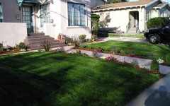 Before & After: Front Walkway